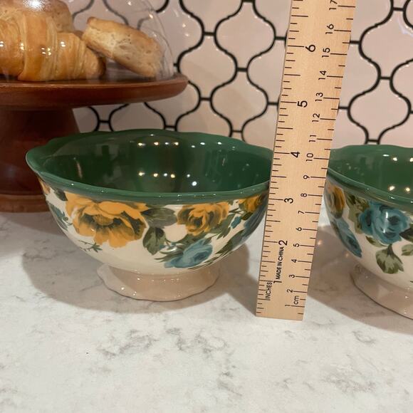 The Pioneer Woman Rose Shadow stoneware soup/cereal bowl set of 2 6” green - Picture 6 of 9